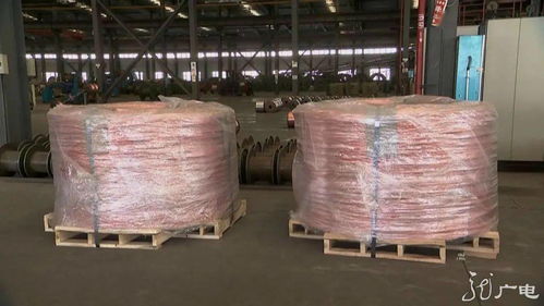 龍江振興正當時 老國企混改闖新路，電力電纜產業激活高質量發展內生動力